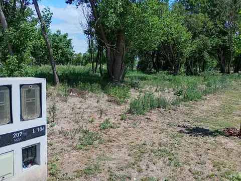 Terreno en Venta de 250,0 m2