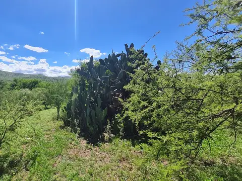 8 lotes y una casa en Villa los aromos