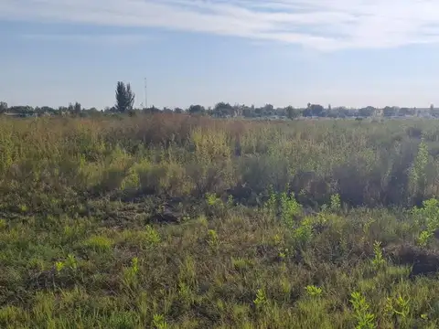 LOTE EN VENTA  EN  TUNUYÁN-MENDOZA- 2,5 HAS