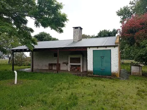 Ruta Provincial 61 100