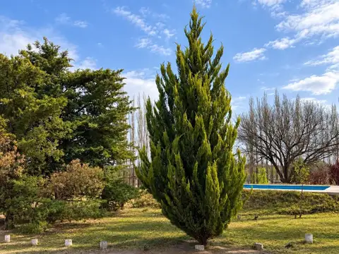VENTA COMPLEJO DE CABAÑAS/ SAN RAFAEL