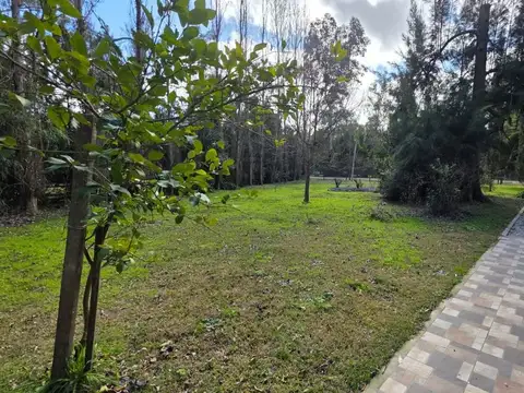 VENTA QUINTA BRANDSEN