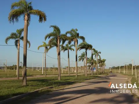 Lote Terreno Tierra de Sueños Arroyo Seco Ciudad Nautica
