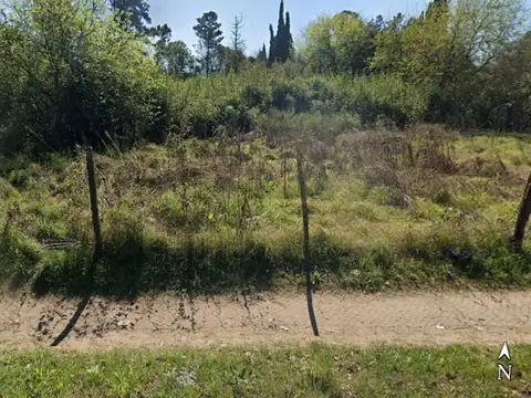 Amplio lote sobre Lamberti casi Paraviccini, Glew