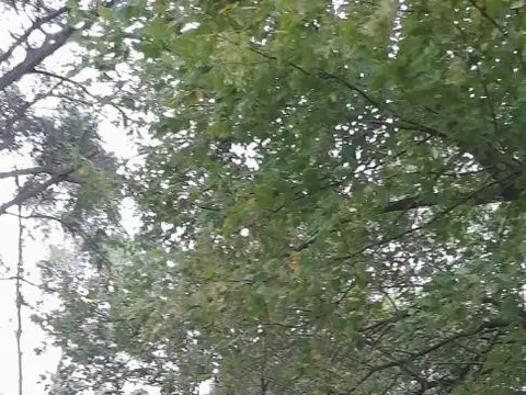 Terreno en Venta de 300,0 m2