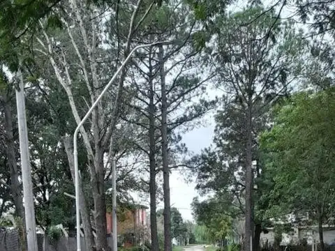 Terreno en Venta 10  mts Frente