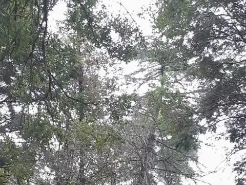 Terreno en Venta 30  mts Fondo