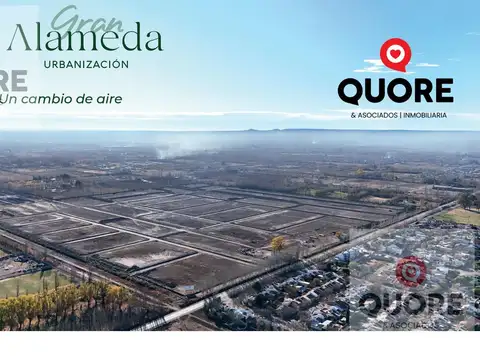 Terreno en Venta 40  mts Frente