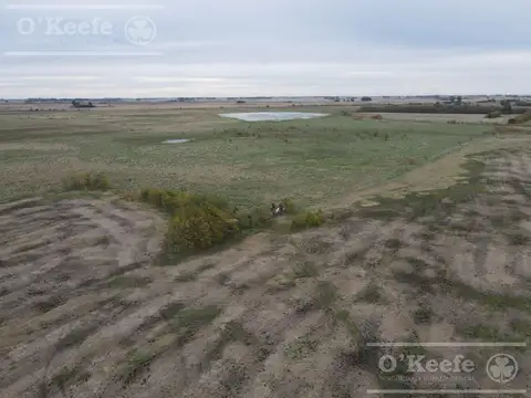 Campo mixto en Chivilcoy de 106 has