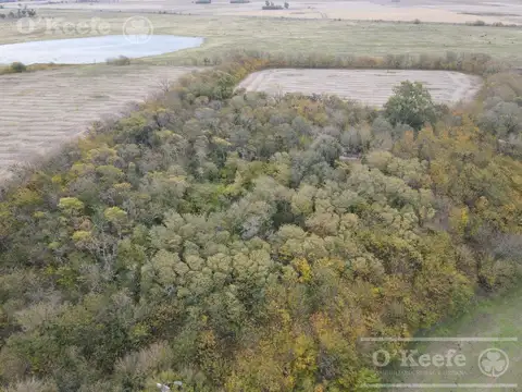 Campo en venta mixto en Chivilcoy de 106 has