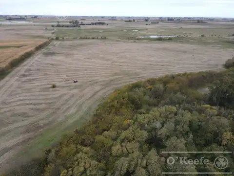 Campo en venta mixto en Chivilcoy de 106 has