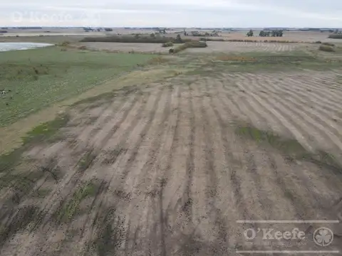 Campo mixto en Chivilcoy de 106 has