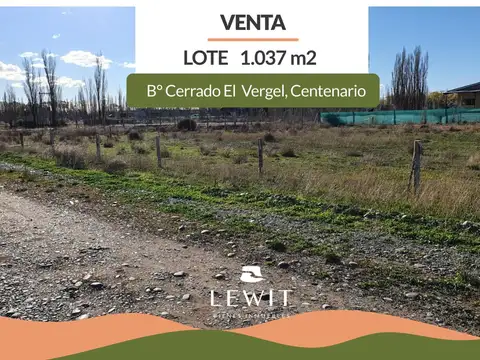 VENTA TERRENO Bº PRIVADO EL VERGEL CENTENARIO NEUQUEN