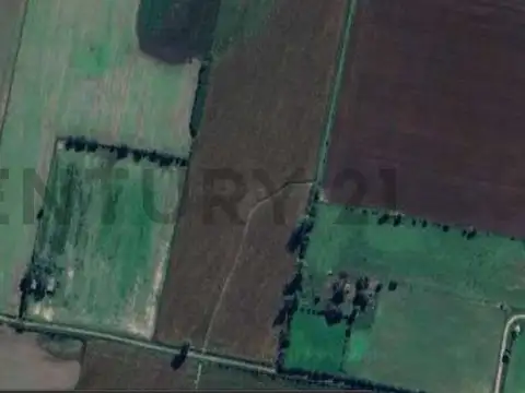 Campo agrícola 6 Hectareas (60000 m2) - Maciel - Proximidad Ruta 11