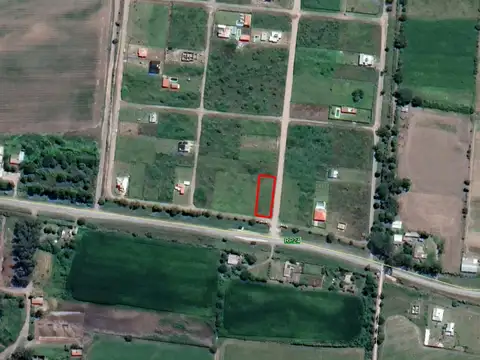 El Mollar 2