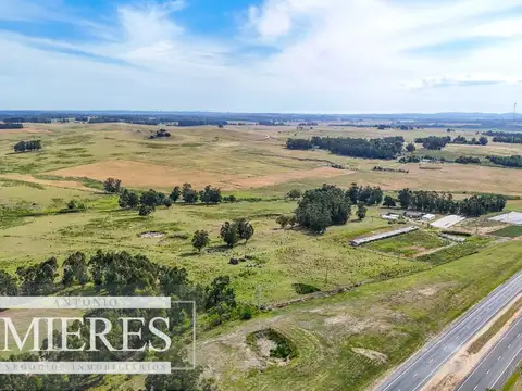 Campo en venta de 59 ha sobre ruta 9 a 15 min de José Ignacio 