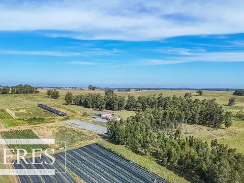 Campo en venta de 59 ha sobre ruta 9 a 15 min de José Ignacio