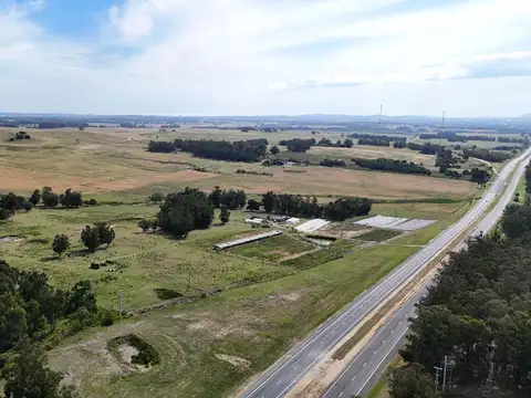 Campo en venta de 59 ha sobre ruta 9 a 15 min de José Ignacio