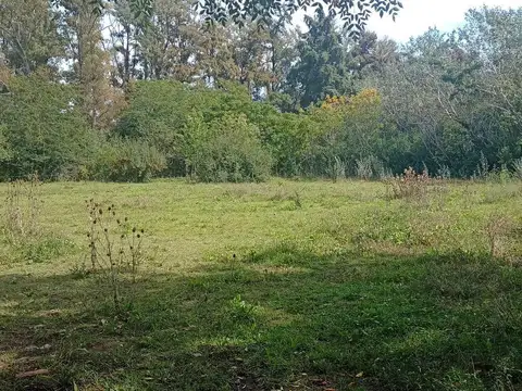 Terreno en Alquiler de 6250,0 m2