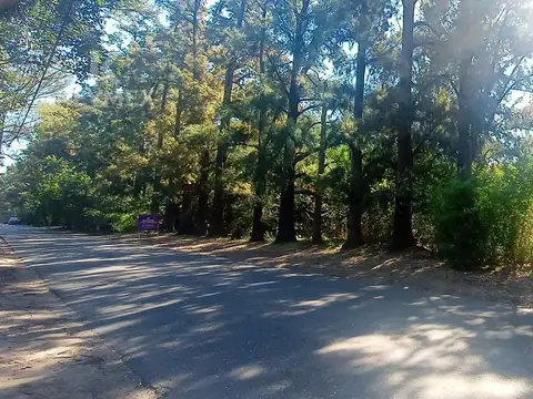 Terreno en Alquiler en Pilar, USD 2.000