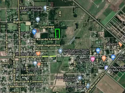 FRACCION 1,3 HA. - A 300 MTS. ASFALTO - SERV: LUZ - LOBOS - BS. AS. 