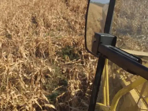 Venta campo mixto 270 hectáreas en Santiago del Estero