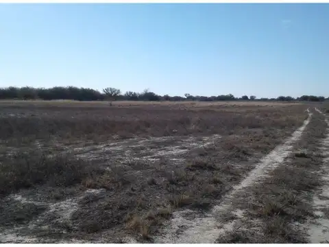 Finca de 130 has. en San Martín