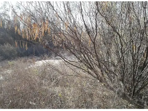 Finca de 130 has. en San Martín
