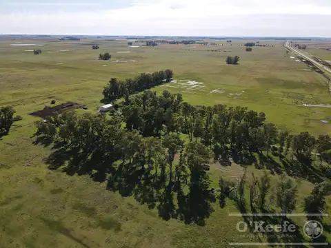 Campo en venta 1420 has en Azul