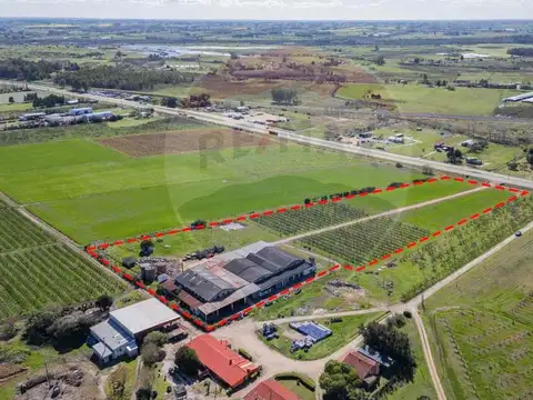Local en Venta en Canelones, USD 1.350.000