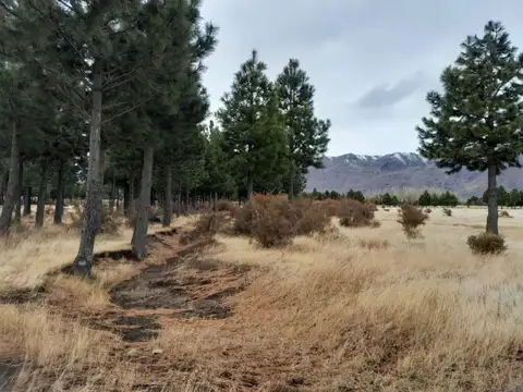 Barrio Buenos Aires Chico