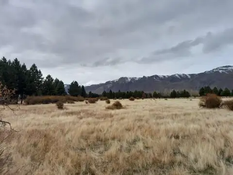 Terreno en Venta de 40000,0 m2