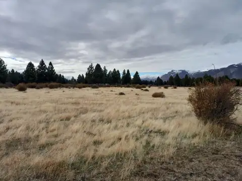 Terreno en Venta de 40000,0 m2