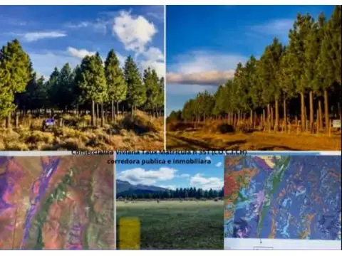 Barrio Buenos Aires Chico