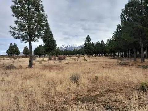 Terreno en Venta en Buenos Aires Chico, USD 58.000