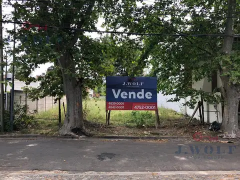 Alberdi al 3000