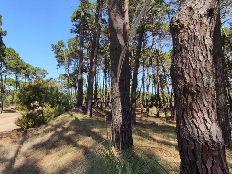 Terreno en Venta en Pinamar, USD 180.000