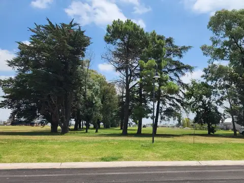 Terreno en Venta de 800,0 m2