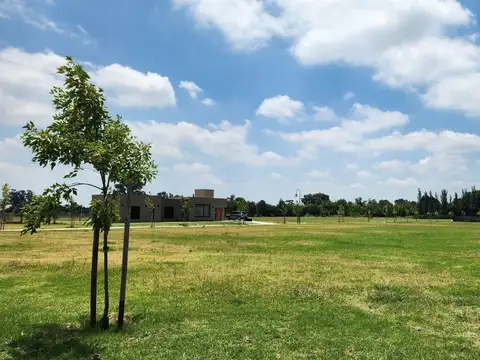 Terreno en Venta de 800,0 m2