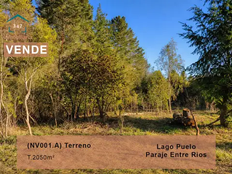 (NV001.A) LAGO  PUELO, TERRENO de 2.000mts2 sobre ruta 16 Paraje Entre Rios