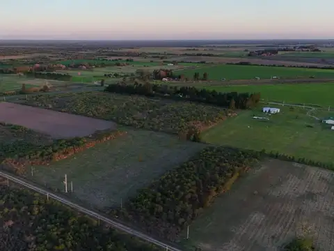 TERRENO EN AVELLANEDA