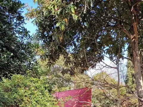 Casa en Alquiler de 3 dormitorios