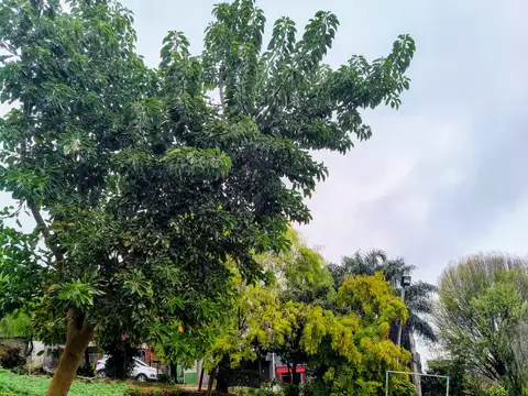 Terreno en Venta de 800,0 m2