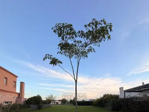 Terreno en Venta en Pilar del Este - San Ramiro, Countries y Barrios Cerrados en Pilar