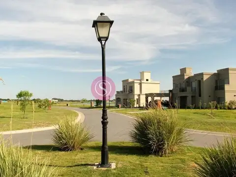 San Pablo 100