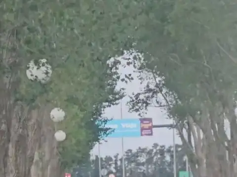 TERRENO EN VENTA DOLORES