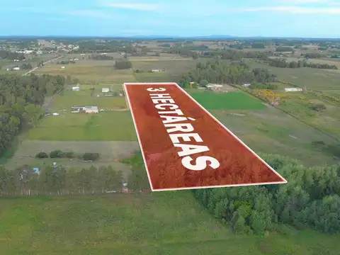 A metros de ruta 100