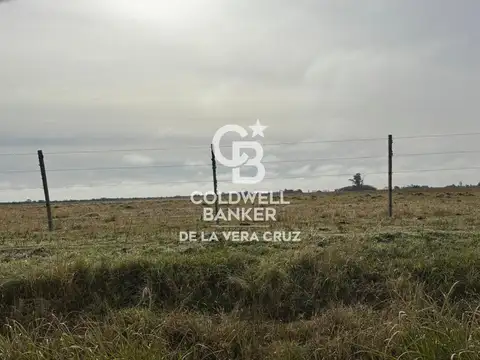 Campo en San Cristobal