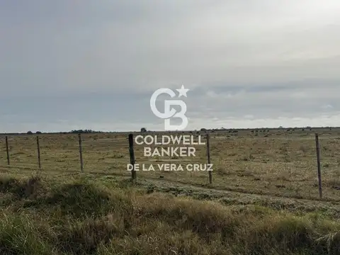 Campo en San Cristobal