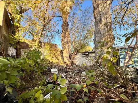 VENTA CASA A RECICLAR CON GRAN TERRENO